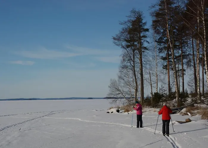 Kivitatti Сюсмя